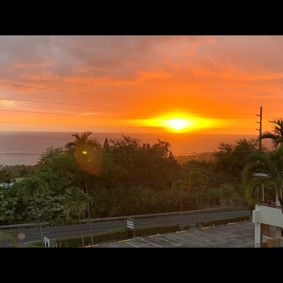 Meet your Posher, Annabel - Picture 1 of 1